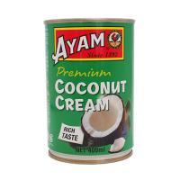 AYAM ココナッツクリーム 400ml | プロフーズYahoo!店