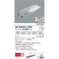 (代引不可)コイズミ照明 AU43655L LED防犯灯(昼白色) (A) | プロショップShimizu