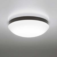 (代引不可)オーデリック OW269014NR シーリングライト (C) | プロショップShimizu