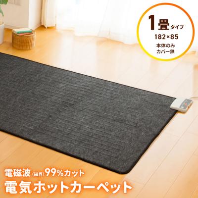 未使用品【電磁波99%カット】ゼンケン　電気ホットカーペット　一畳相当 ゼンケン ホットカーペット（畳数：1畳）｜冷暖房器具、空調家電｜家電
