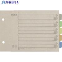 KING JIM カラ-インデックス 165×10×230mm  ■▼130-2248 904  1冊 | プロキュアエース