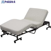 IRIS 536259 折りたたみコイル電動ベッド  ■▼153-1451 OTB-CDN  1台 | プロキュアエース