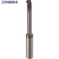 GUHRING 溝入れ工具 インサート 内径・面取り加工用 nanoAコート GT106.4547.020.17.50.R  ■▼180-6128 25866 6.220  1本 | プロキュアエース