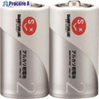 JTX 366067)アルカリ乾電池単2×10本 N122J-2P-5   ▼197-2448 N122J-2P-5  1箱 | プロキュアエース