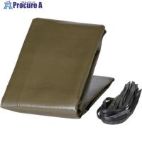 萩原 ターピー 軽トラックシート大地 1号サイズ ОDグリーン 1.8m×2.1m  ▼571-4428 DAI-1  1枚 | プロキュアエース