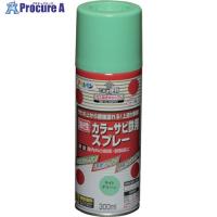 アサヒペン カラーサビ鉄用スプレー 300ML ライトグリーン  ▼824-9069 533975  1本 | プロキュアエース