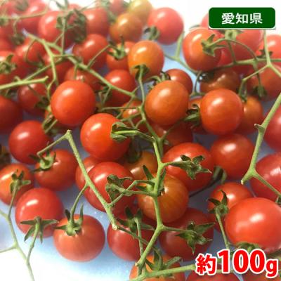 生鮮卸売市場 - トマト｜Yahoo!ショッピング