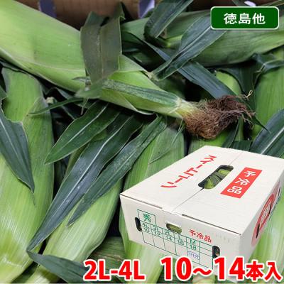 生鮮卸売市場 - トウモロコシ｜Yahoo!ショッピング