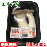 ホクト エリンギ 1パック 100g 236a 2 生鮮卸売市場 通販 Yahoo ショッピング