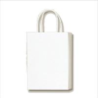 紙袋 手提げ袋 10枚入 白 サイズ 幅180×マチ70×高250mm（S-1）アクリル針入紐 シモジマ HEIKO | シモジマ Yahoo!店