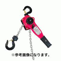 WCP ワールドコンセプトパートナーズ(/A) レバーホイスト ピンク 246353-01 | ProShop伊達