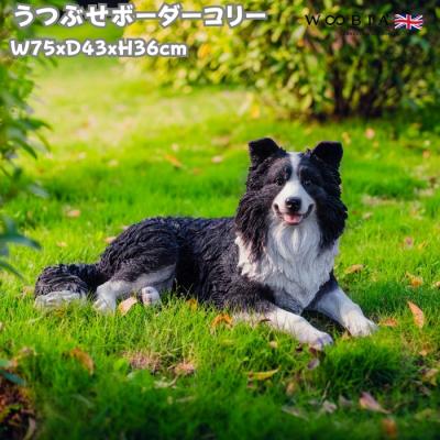 ボーダーコリー 置物のおすすめ人気商品一覧 通販 - Yahoo!ショッピング