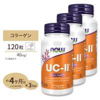[3個セット]ナウフーズ UC-II コラーゲン2型 ジョイントヘルス 120粒 カプセル NOW Foods UC-II Type II Collagen Capsules | プロテインUSA
