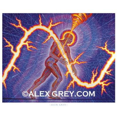 alex gray アレックスグレイ　サイン入りポスター　額なし alex gray アレックスグレイ サイン入りポスター 額なし alex