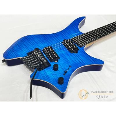 strandberg ケース（各種楽器、器材） | 楽器、手芸、コレクション の