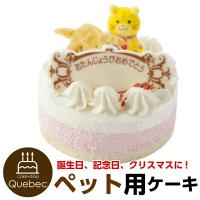 猫用 ネコ用 cat cake プレートキャンドル付き！ 誕生日ケーキ ペットケーキ バースデーケーキ　賞味期限2024.07.23 | 暮らしの総合デパートケベック