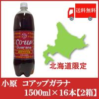 ガラナ 北海道限定 オバラ コアップガラナ 1500ml ×16本 (8本入×2ケース) 送料無料 | クイックファクトリーアネックス