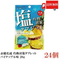 送料無料 赤穂化成 灼熱対策 塩タブレット パイン味 28g　×24個 | クイックファクトリーアネックス