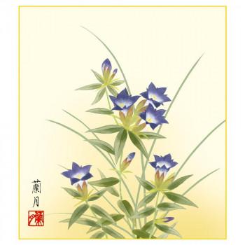 吉井 蘭月の商品一覧 通販 - Yahoo!ショッピング