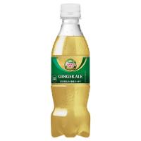 コカ・コーラ カナダドライジンジャーエール350mlPET ×24本 | アールストリート