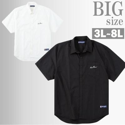 カールカナイ（サイズ（S/M/L）：4L～）の商品一覧 通販 - Yahoo
