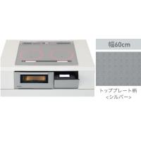 パナソニック IHクッキングヒーター ビルトインタイプ KZ-AN26S シルバー/シルバー 2口IH 鉄・ステンレス対応 | Raihoo online shop