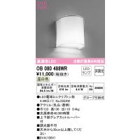 (送料無料) オーデリック OB080488WR ブラケットライト LEDランプ 温白色 非調光 ODELIC | 住設と電材の洛電マート Yahoo!店