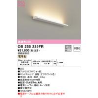 オーデリック OB255229FR 間接照明 LED一体型 電球色 非調光 かんたん間接 ODELIC | 住設と電材の洛電マート Yahoo!店