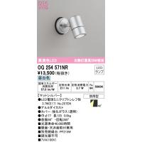 (送料無料) オーデリック OG254571NR エクステリアライト LEDランプ 昼白色 ODELIC | 住設と電材の洛電マート Yahoo!店