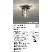 (送料無料) オーデリック OG254608LD ブラケットライト LEDランプ 電球色 ODELIC | 住設と電材の洛電マート Yahoo!店
