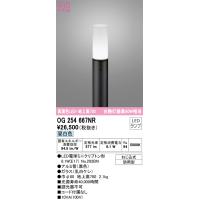 オーデリック OG254667NR エクステリアライト LEDランプ 昼白色 ODELIC | 住設と電材の洛電マート Yahoo!店