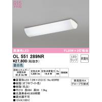 (送料無料) オーデリック OL551289NR キッチンライト LEDランプ 昼白色 非調光 ODELIC | 住設と電材の洛電マート Yahoo!店