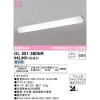 (送料無料) オーデリック OL551580NR キッチンライト LEDランプ 昼白色 非調光 ODELIC | 住設と電材の洛電マート Yahoo!店