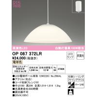 (送料無料) オーデリック OP087372LR ペンダントライト LEDランプ 電球色 非調光 ODELIC | 住設と電材の洛電マート Yahoo!店