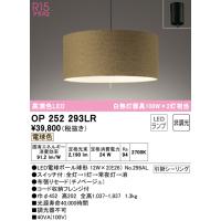 (送料無料) オーデリック OP252293LR ペンダントライト LEDランプ 電球色 非調光 ODELIC | 住設と電材の洛電マート Yahoo!店