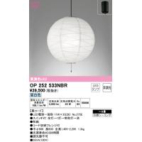 オーデリック OP252533NBR ペンダントライト LEDランプ 昼白色 非調光 ODELIC | 住設と電材の洛電マート Yahoo!店