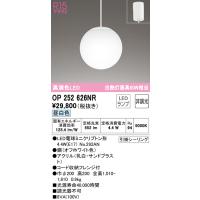 (送料無料) オーデリック OP252626NR ペンダントライト LEDランプ 昼白色 非調光 ODELIC | 住設と電材の洛電マート Yahoo!店