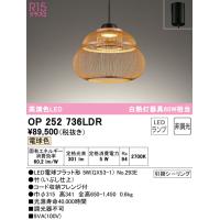(送料無料) オーデリック OP252736LDR ペンダントライト LEDランプ 電球色 非調光 ODELIC | 住設と電材の洛電マート Yahoo!店