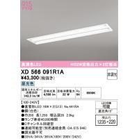 オーデリック XD566091R1A ベースライト ODELIC | 住設と電材の洛電マート Yahoo!店