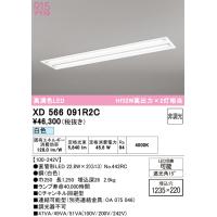 オーデリック XD566091R2C ベースライト ODELIC | 住設と電材の洛電マート Yahoo!店