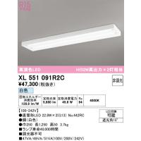 オーデリック XL551091R2C ベースライト ODELIC | 住設と電材の洛電マート Yahoo!店