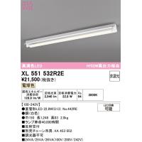 オーデリック XL551532R2E ベースライト ODELIC | 住設と電材の洛電マート Yahoo!店