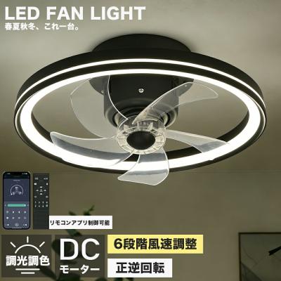 シーリングファンライト（キッチン家電、調理家電） | 家電 のおすすめ
