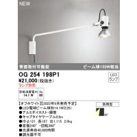 (送料無料) オーデリック OG254198P1 エクステリアライト LEDランプ ODELIC | 住設と電材の洛電マート plus