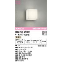 オーデリック OG254291R エクステリアライト LED一体型 電球色 ODELIC | 住設と電材の洛電マート plus