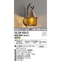 (送料無料) オーデリック OG254433LC1 エクステリアライト LEDランプ 電球色 ODELIC | 住設と電材の洛電マート plus
