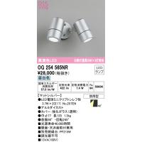 オーデリック OG254565NR エクステリアライト LEDランプ 昼白色 ODELIC | 住設と電材の洛電マート plus
