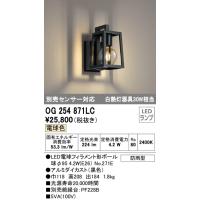 (送料無料) オーデリック OG254871LC エクステリアライト LEDランプ 電球色 ODELIC | 住設と電材の洛電マート plus