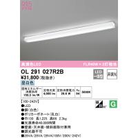 (送料無料) オーデリック OL291027R2B キッチンライト LED一体型 昼白色 非調光 ODELIC | 住設と電材の洛電マート plus