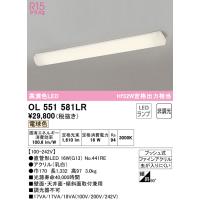 (送料無料) オーデリック OL551581LR キッチンライト LEDランプ 電球色 非調光 ODELIC | 住設と電材の洛電マート plus